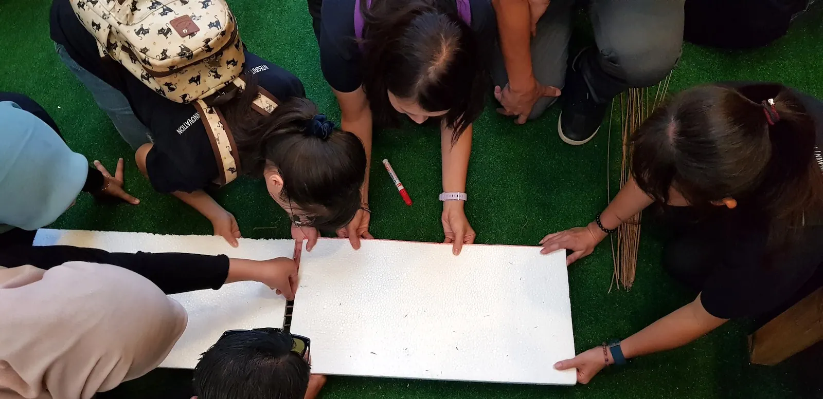 Tetra Exponus team in active collaboration — capability built one cohort at a time