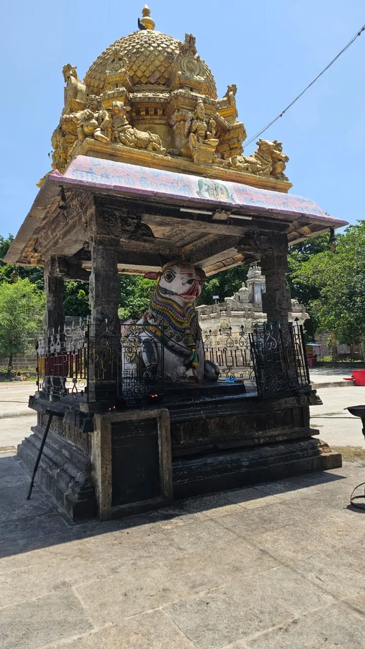 Tamil Nadu — Tetra Travel candid moment