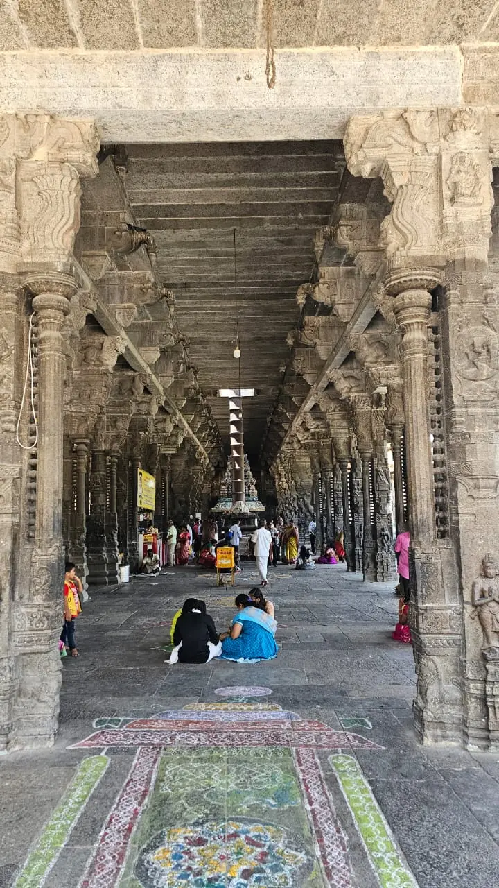 Tamil Nadu — Tetra Travel candid moment