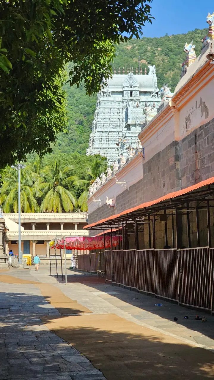 Tamil Nadu — Tetra Travel candid moment