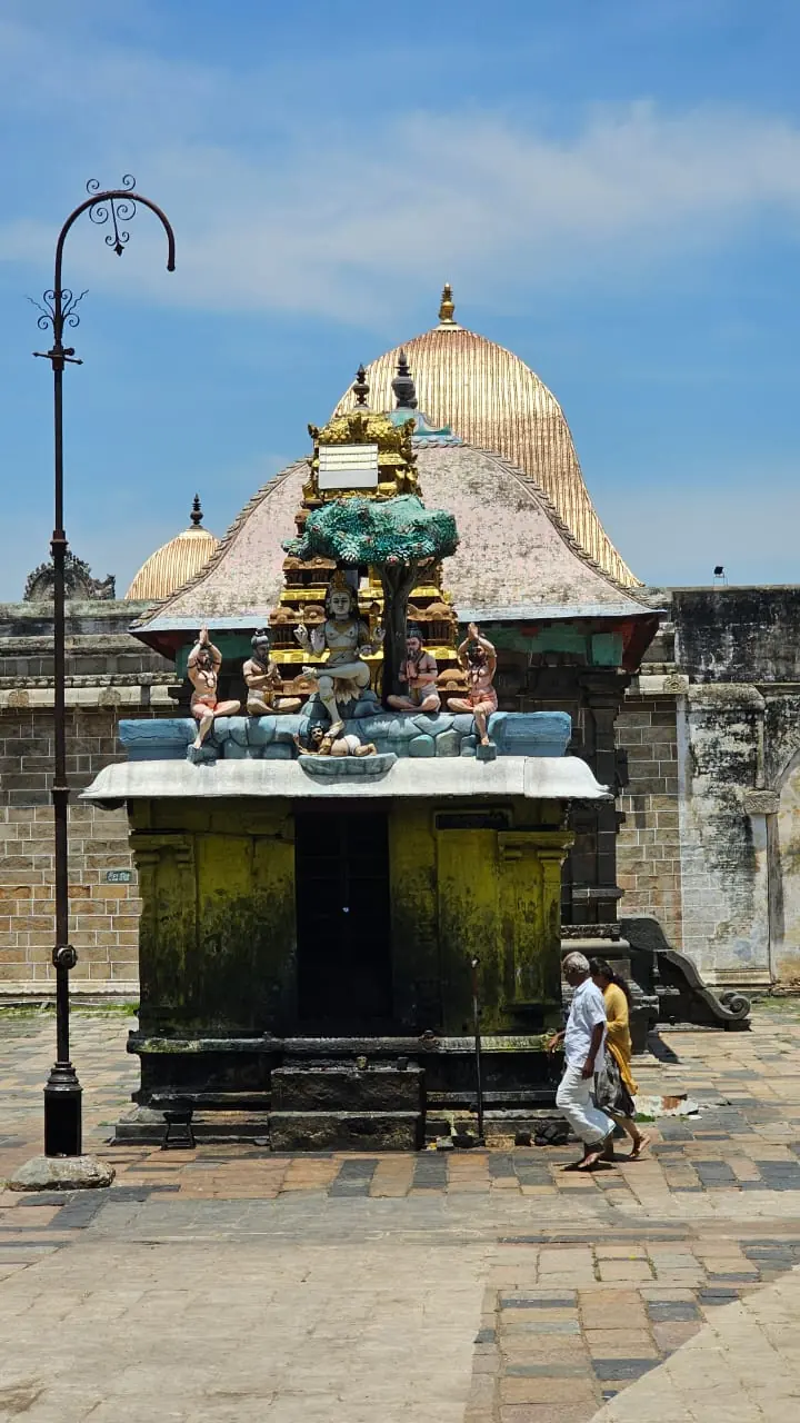 Tamil Nadu — Tetra Travel candid moment